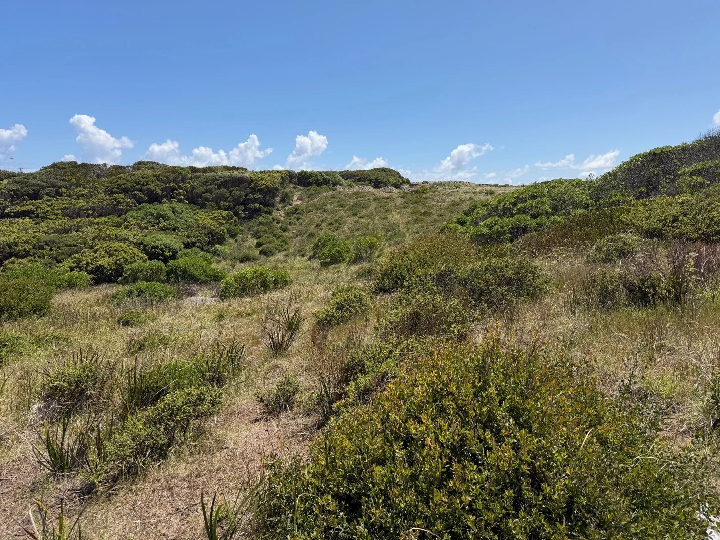 Additional image 7 of 20 Elginshore Drive, Currie TAS 7256