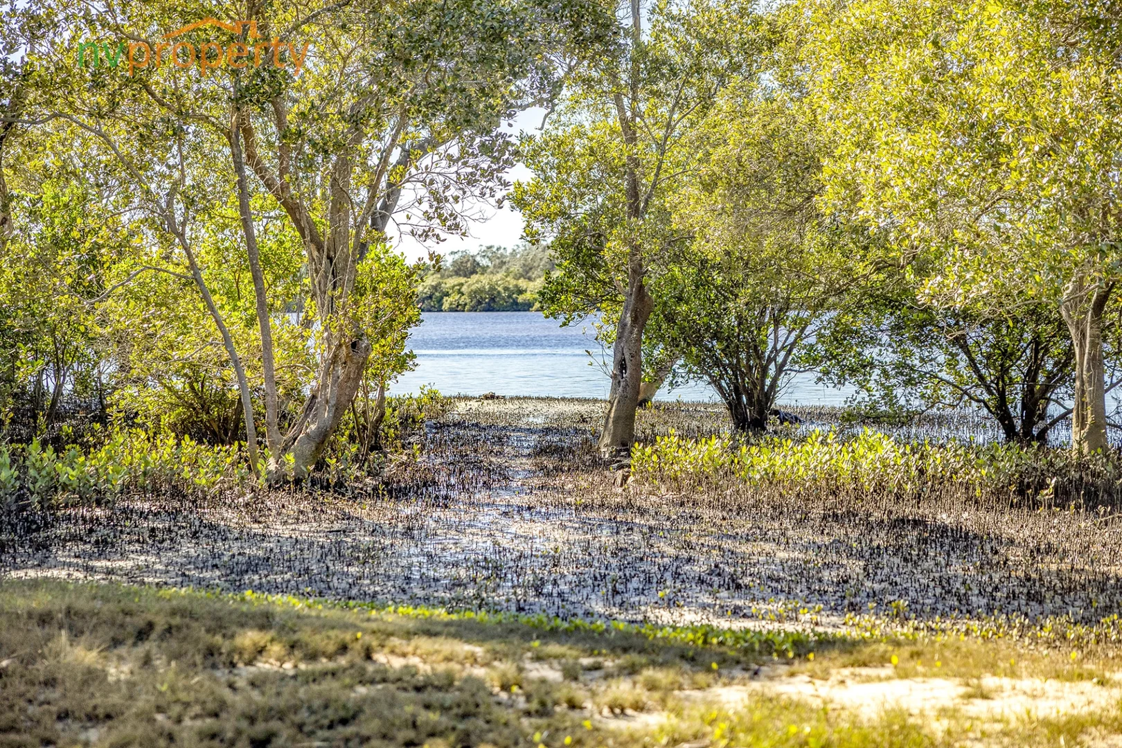 Additional image 6 of 315 Fishermans Reach Road, Fishermans Reach NSW 2441