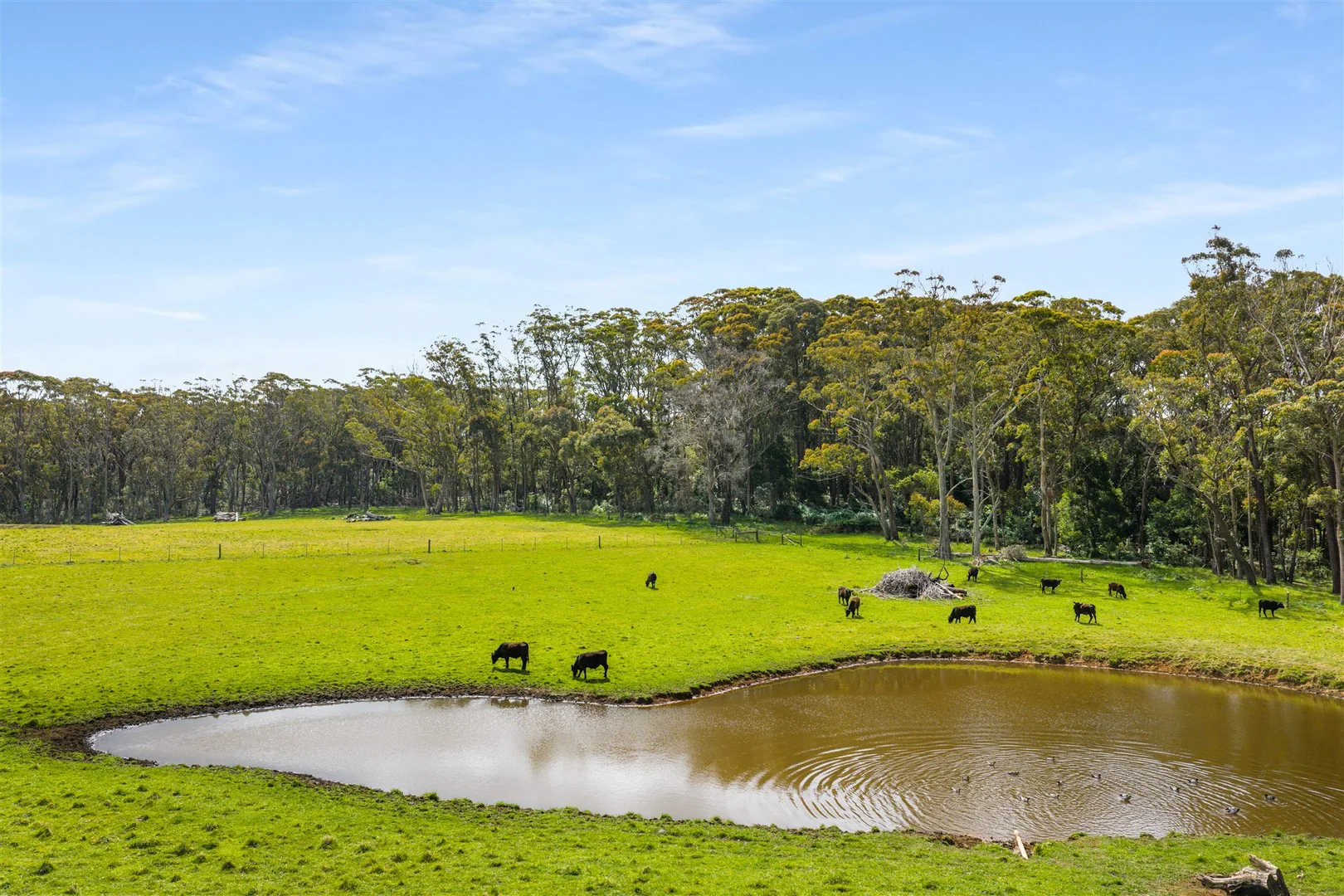 Additional image 9 of 227 Somerset Road, Fitzroy Falls NSW 2577