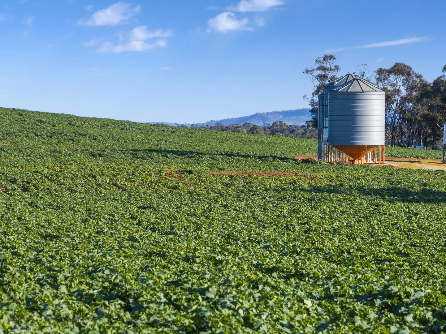 Additional image 11 of 'Hamilton Run Farm' Murchland Drive, Jamestown SA 5491