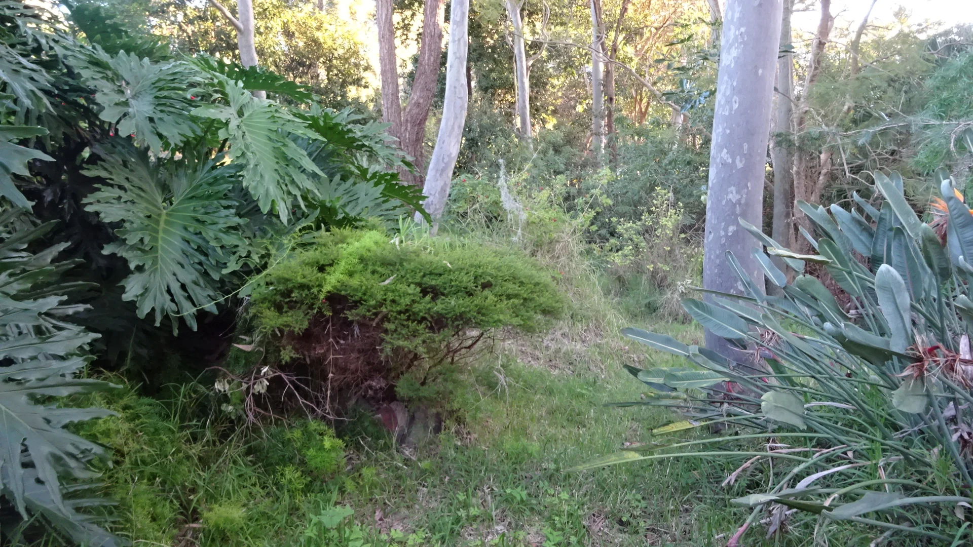 Additional image 9 of 7 Amelia Street, Carey Bay NSW 2283