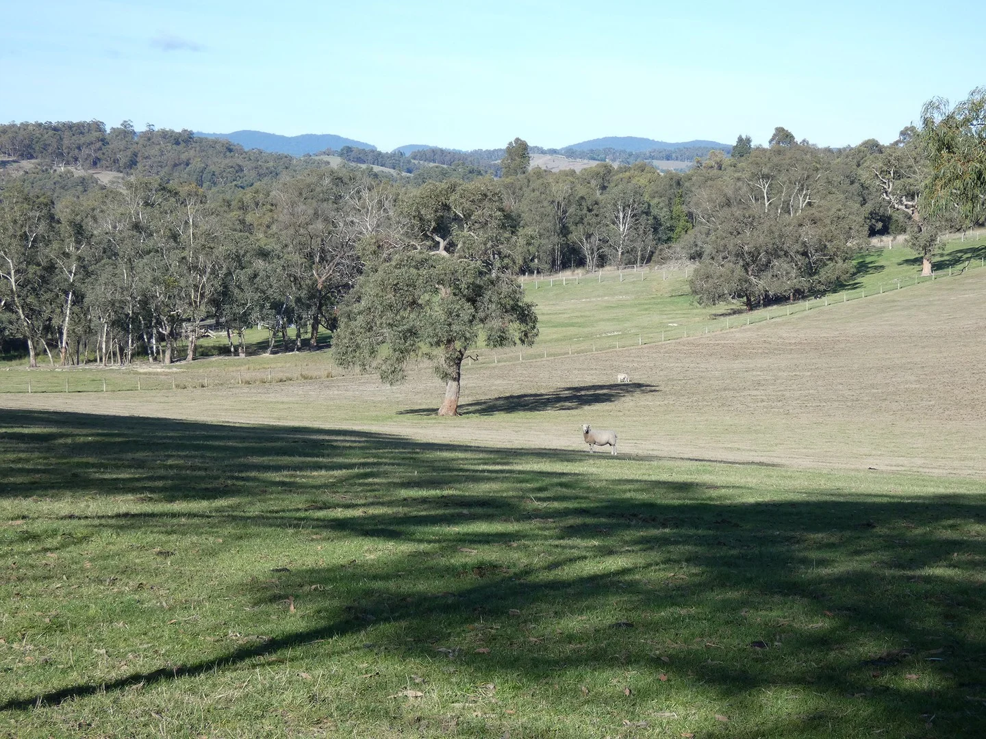 Additional image 4 of 10 Smiths Road, Yellingbo VIC 3139