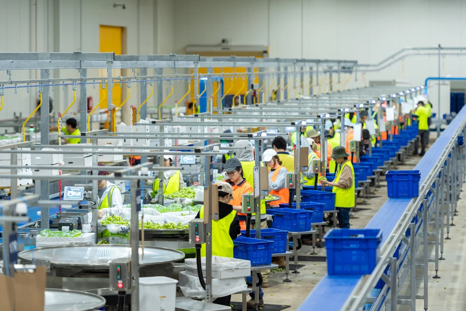 Additional image 9 of 1251 Stanitzki Road, Pike River SA 5340