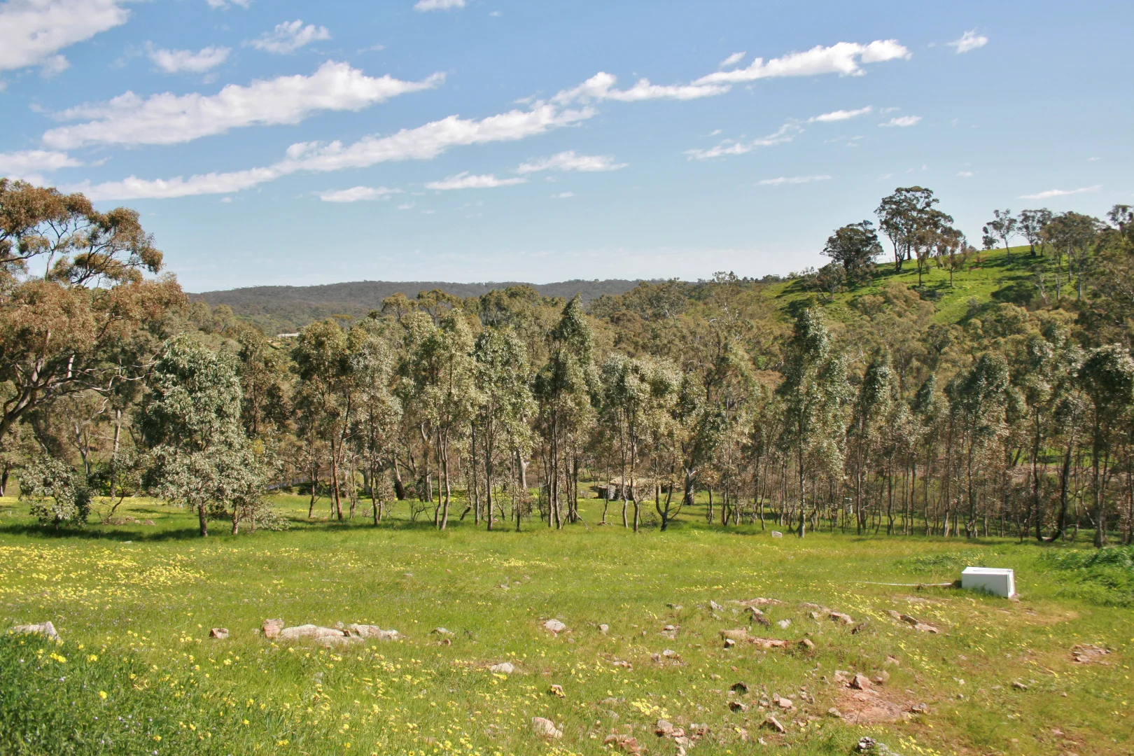 Additional image 7 of Lot 32 Horrocks Road, Penwortham SA 5453