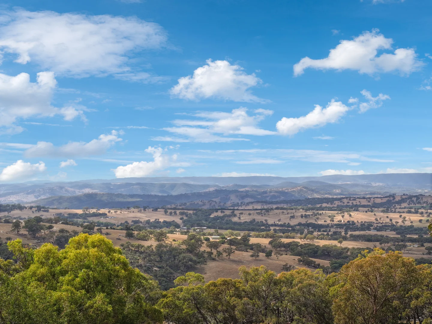 Additional image 25 of Mount Rankin NSW 2795