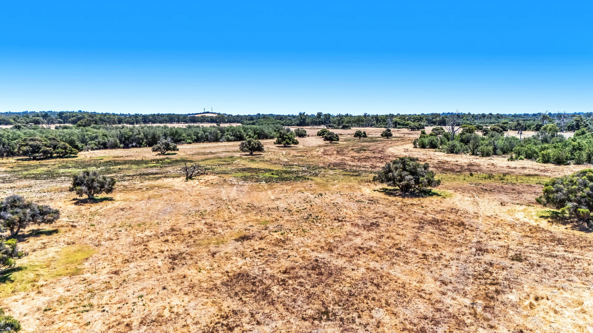 Additional image 24 of Lot 1 Jilley Road, Boyanup WA 6237