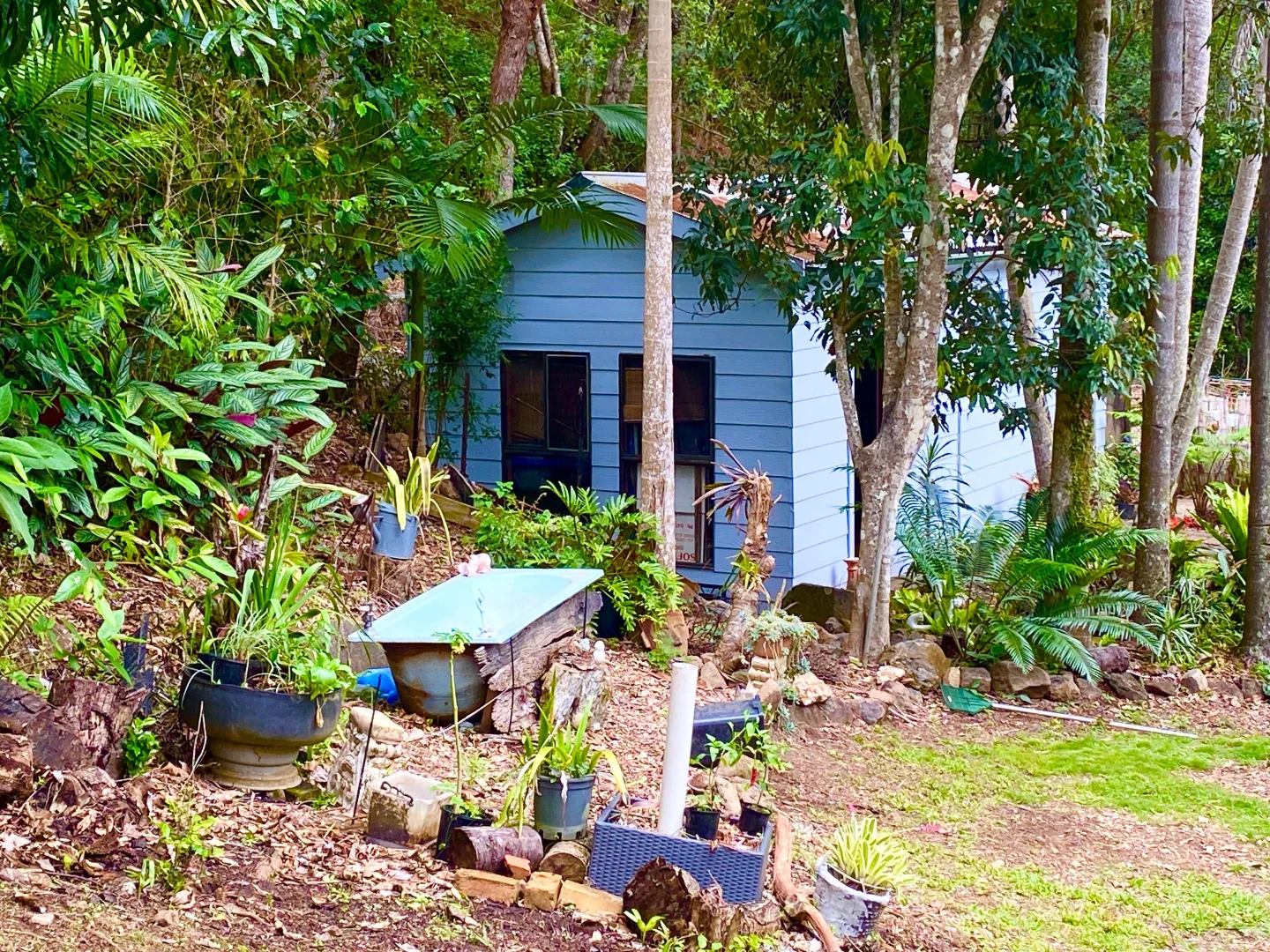 Additional image 14 of 807 RESERVE CREEK ROAD, Reserve Creek NSW 2484