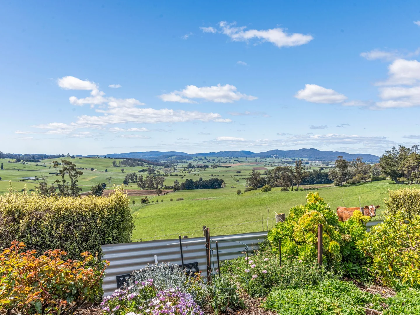 Additional image 26 of 123 Careys Road, West Kentish TAS 7306