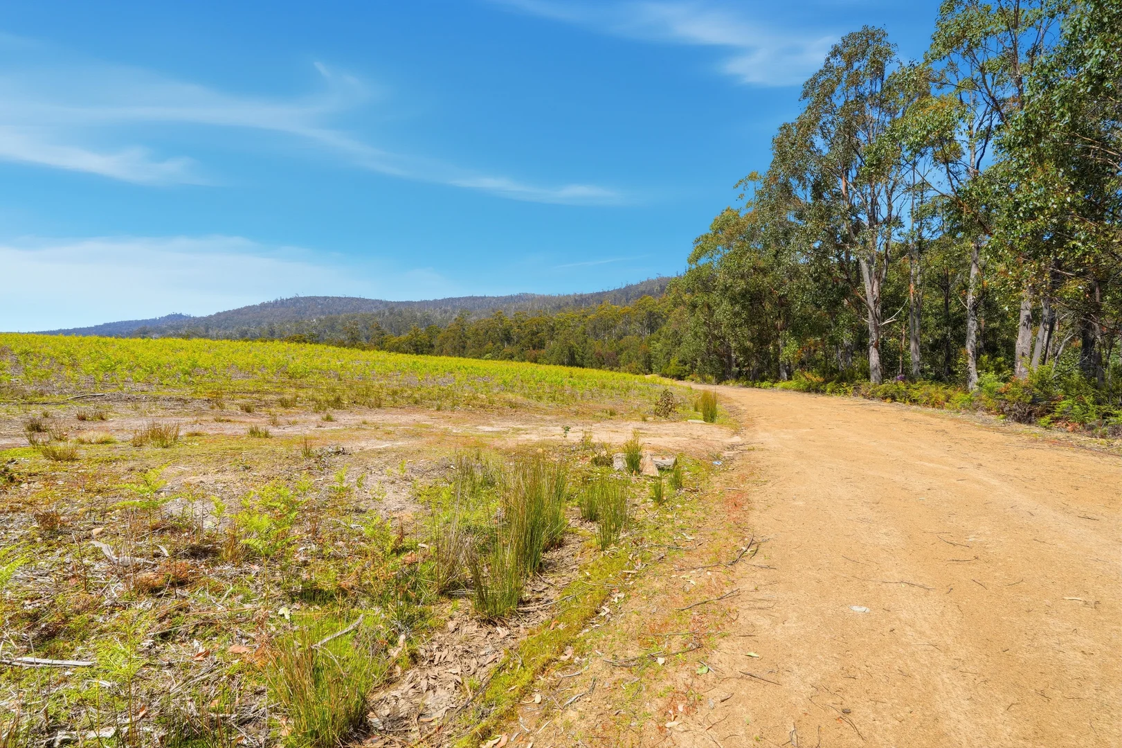 Additional image 15 of 319 Yearsley Road, Broadmarsh TAS 7030