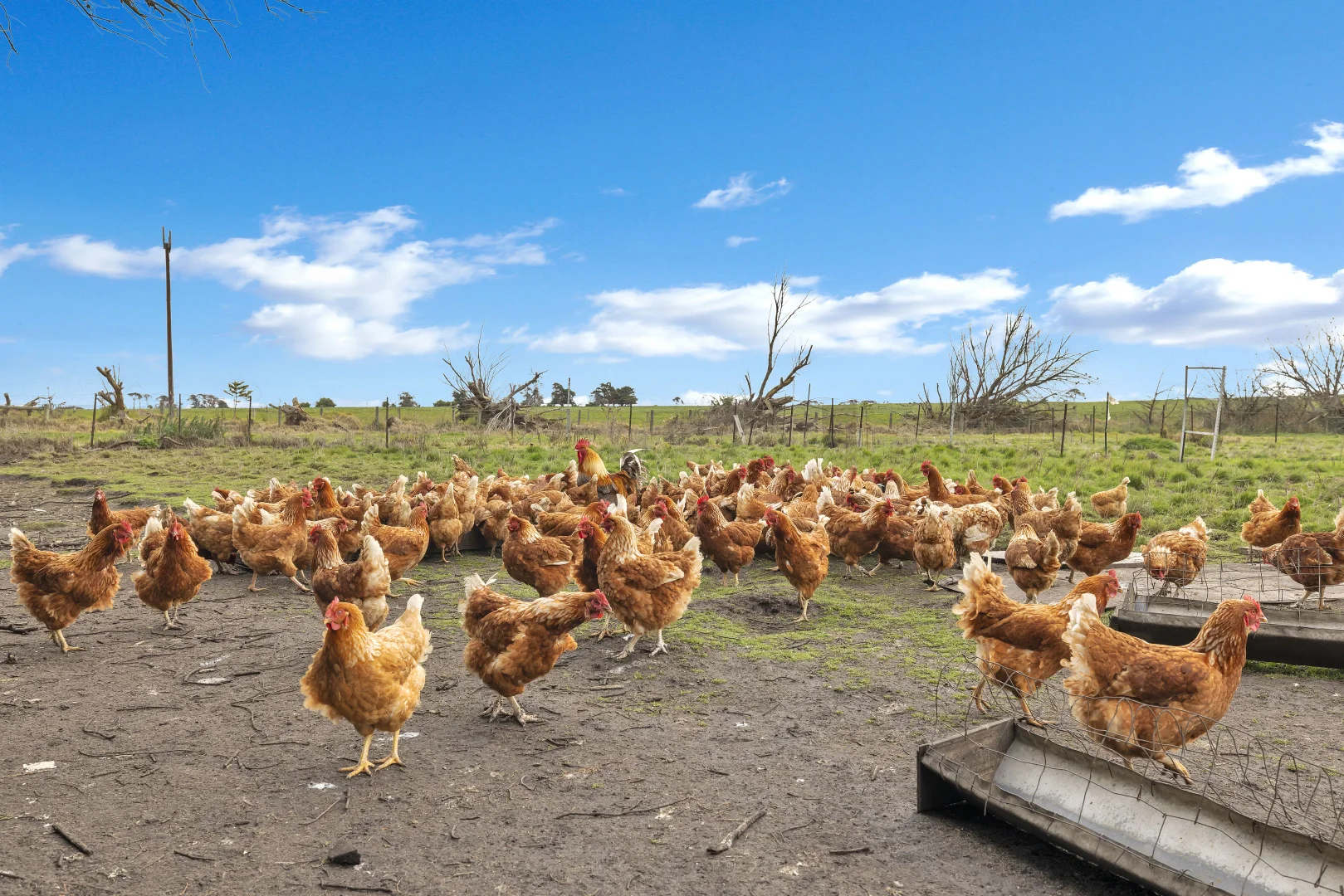 Additional image 5 of 190 Agar Road, Bass VIC 3991