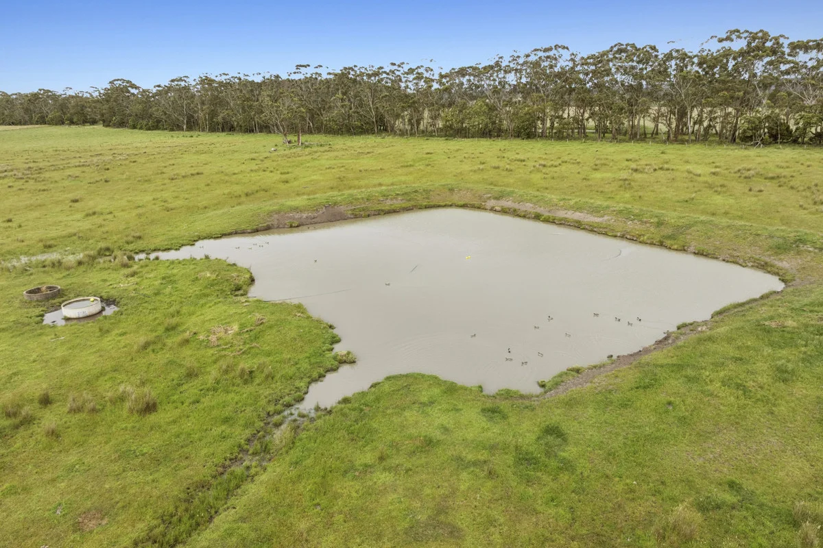 Additional image 9 of 190 Blacks Road, Irrewillipe VIC 3249