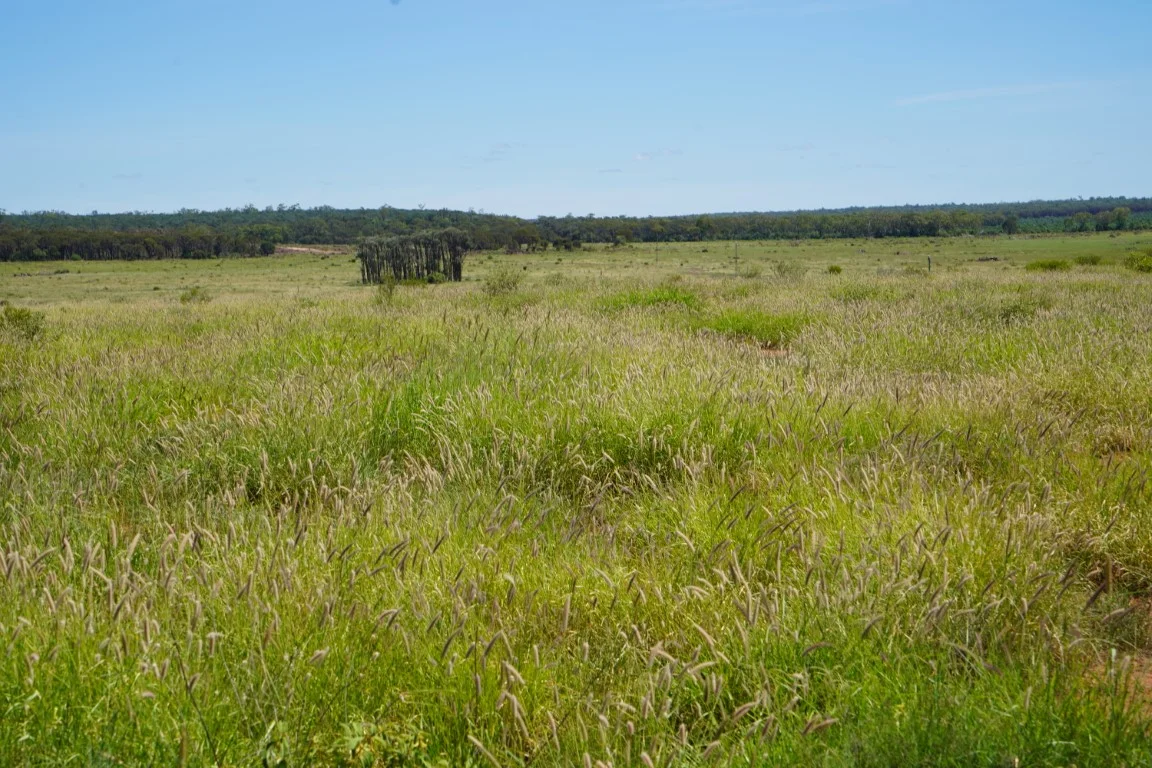 Additional image 2 of 1081 Tareela Access Road, Mungallala QLD 4467