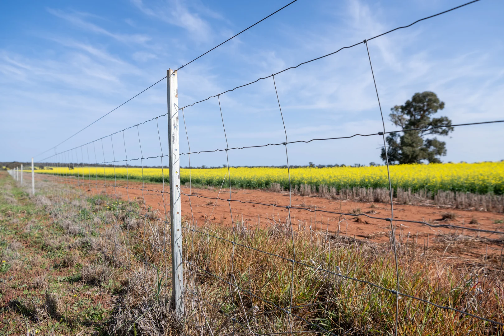 Additional image 33 of Weise Aggregation, Beckom, Ardlethan,, Ariah Park NSW 2665