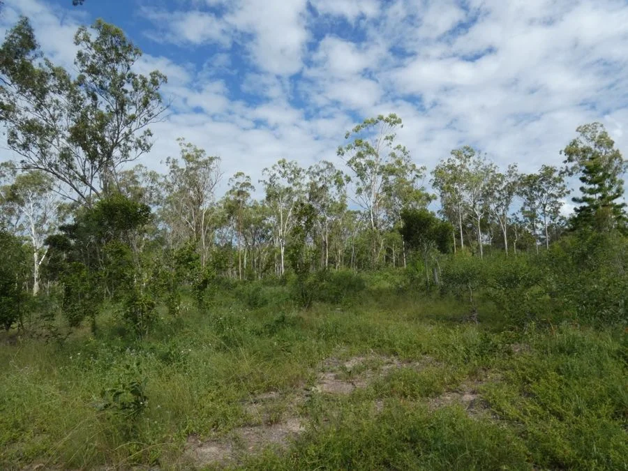 Additional image 33 of 310 MOLLENHAGENS ROAD, Winfield QLD 4670