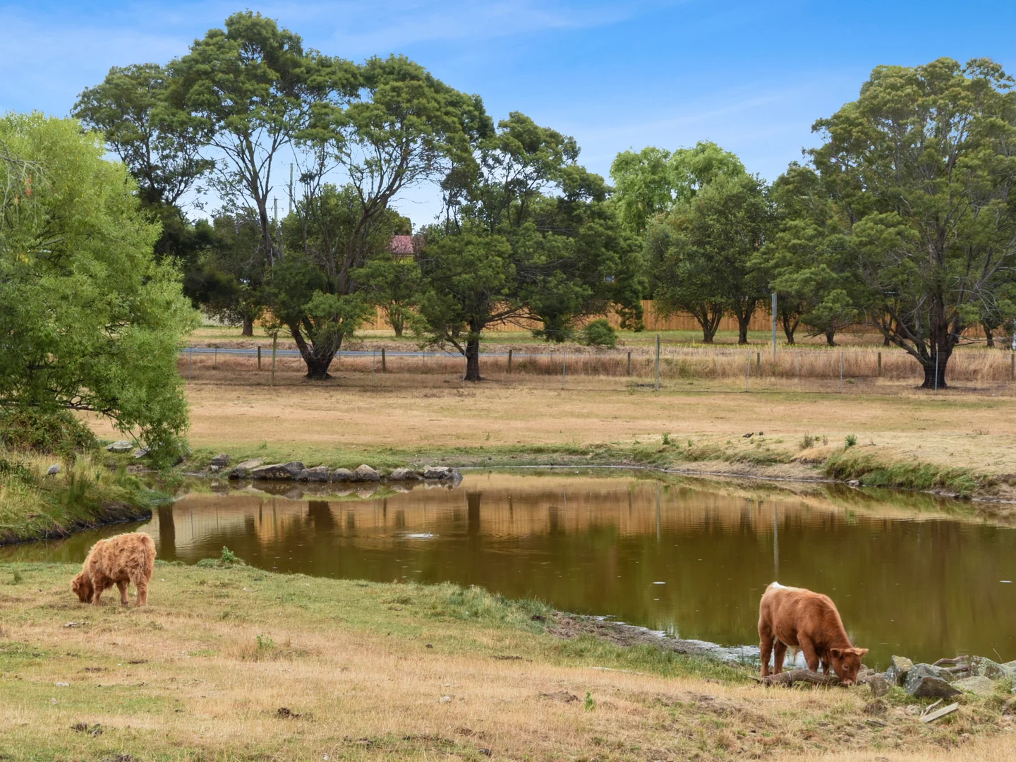 Additional image 49 of 19 Saunders Drive, Hadspen TAS 7290