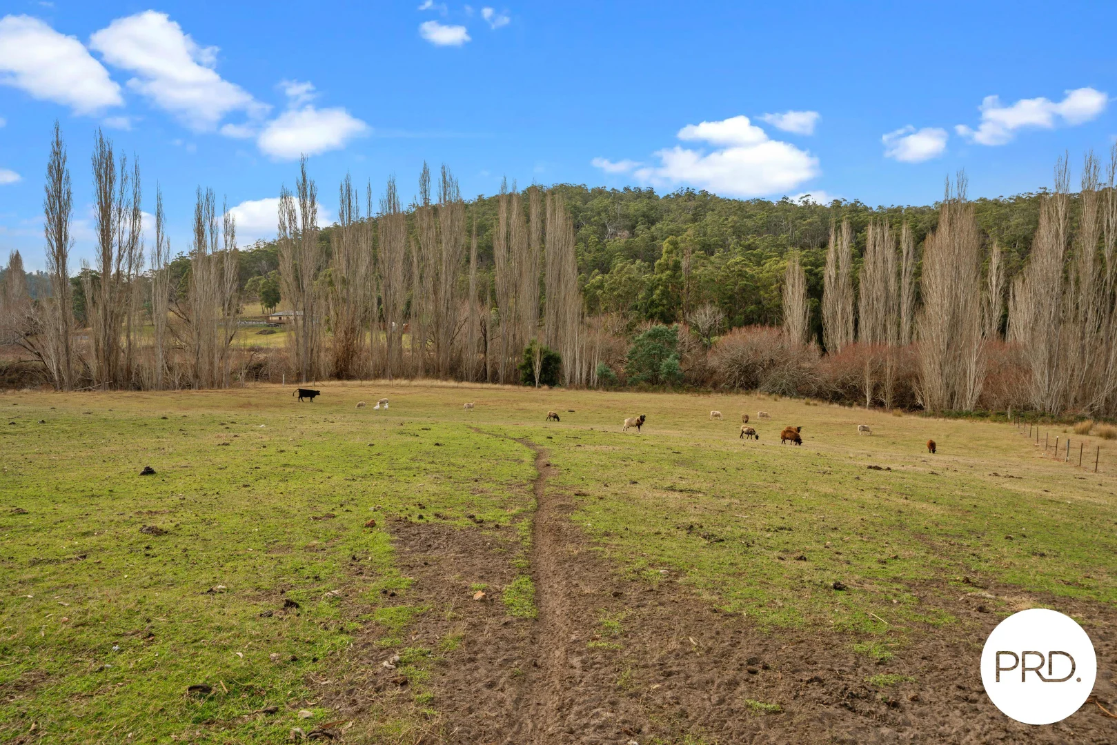 Additional image 15 of 240 Ellendale Road, Fentonbury TAS 7140