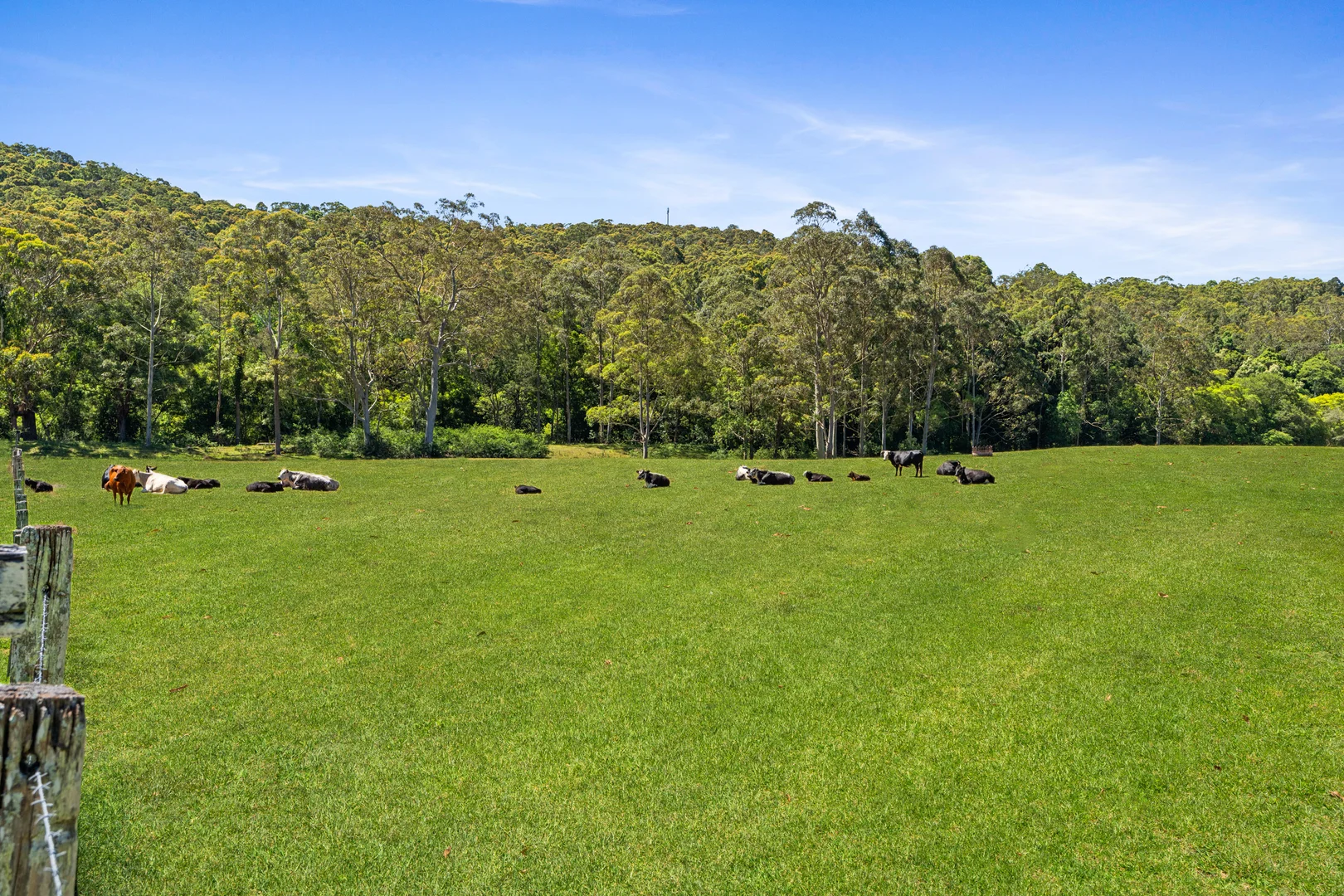 Additional image 18 of 37 Chittaway Road, Kangy Angy NSW 2258