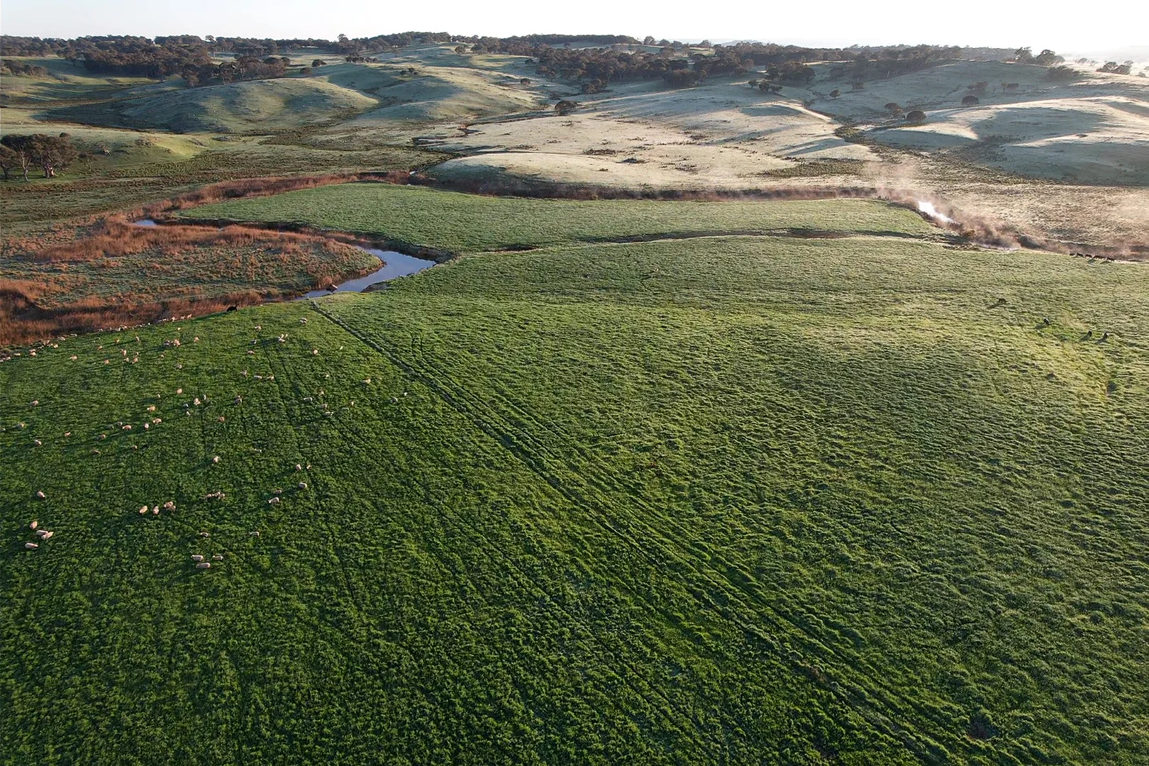 Additional image 10 of 569 & 640 Blakney Creek North Road, Blakney Creek NSW 2581