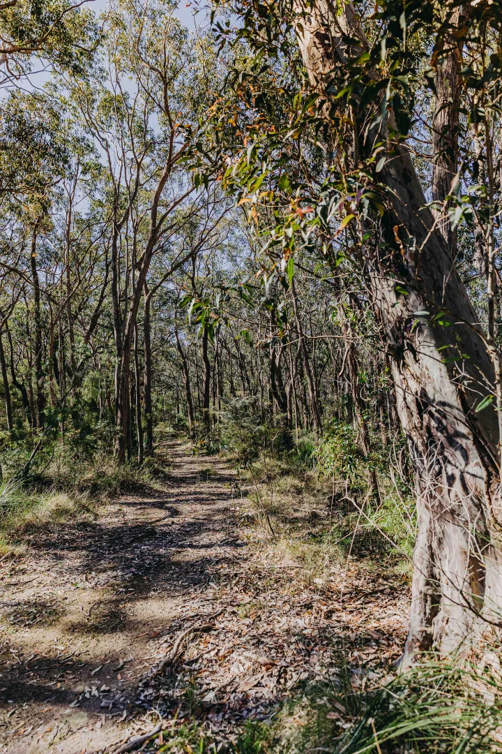 Additional image 18 of 23 Uffington Road, Duns Creek NSW 2321