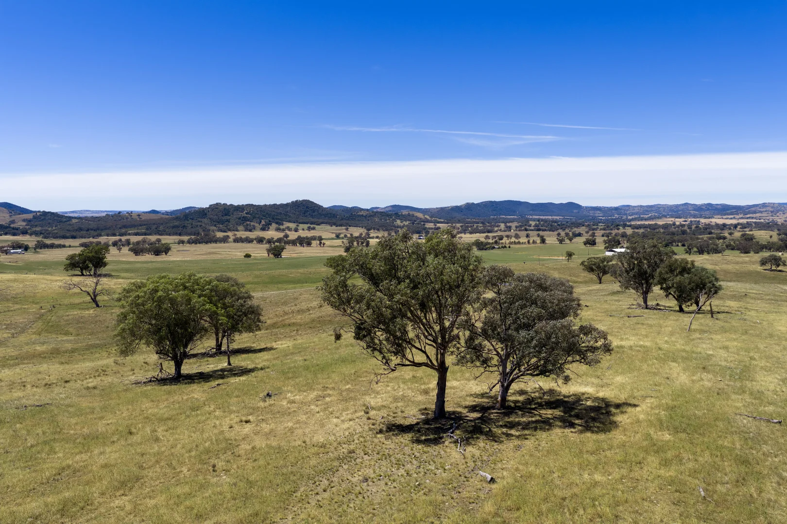 Additional image 19 of 499 Mebul Road, Gulgong NSW 2852