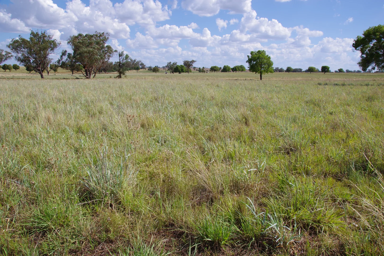 Additional image 40 of 1676 Willala Road, Boggabri NSW 2382