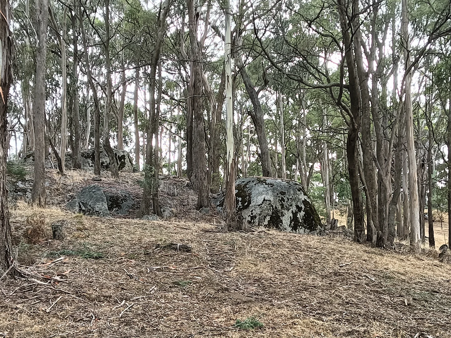 Additional image 24 of Strathbogie VIC 3666