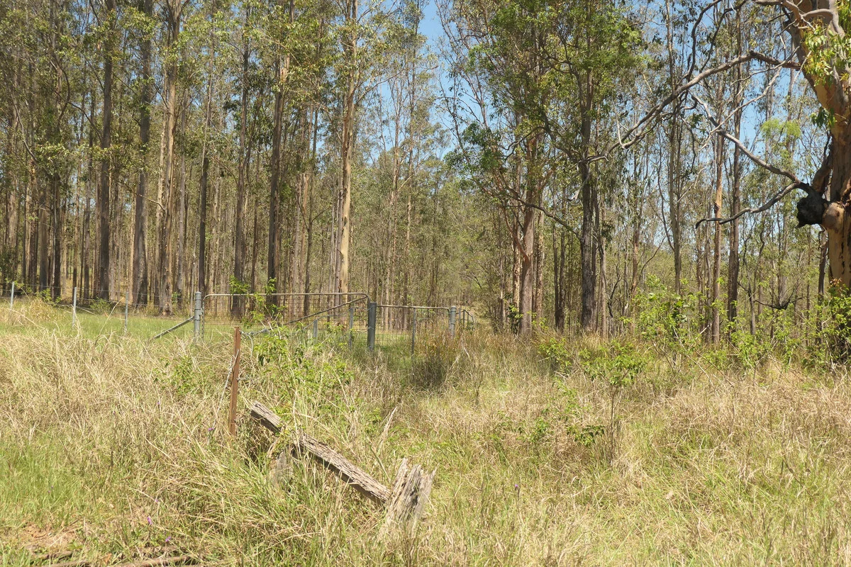 Additional image 5 of 4 Kimbin Pikapene Road, Tabulam NSW 2469