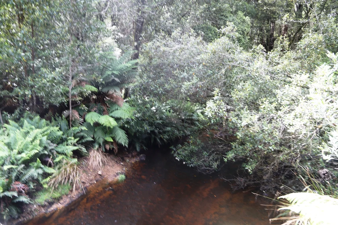 Additional image 14 of 1 Croles Road, Trowutta TAS 7330