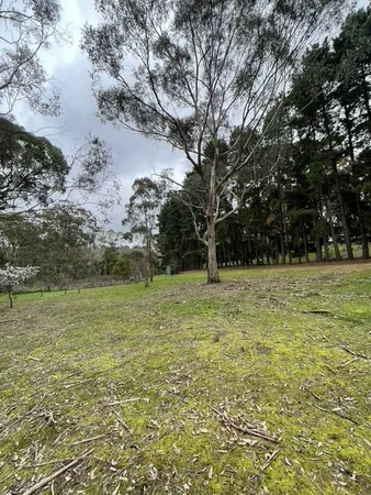 Additional image 2 of 41 Eleventh Avenue, Eden Park VIC 3757