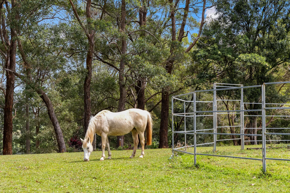 Additional image 2 of 121 Binna Burra Road, Binna Burra NSW 2479