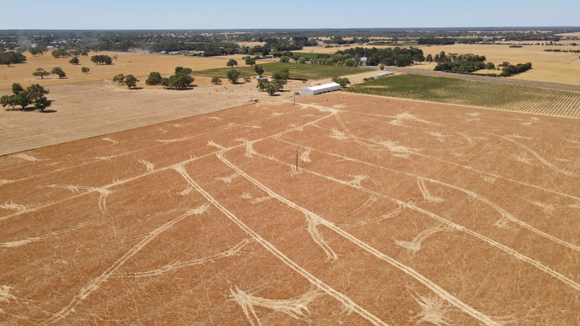 Additional image 12 of 8283 Clay Wells Rd, Penola SA 5277