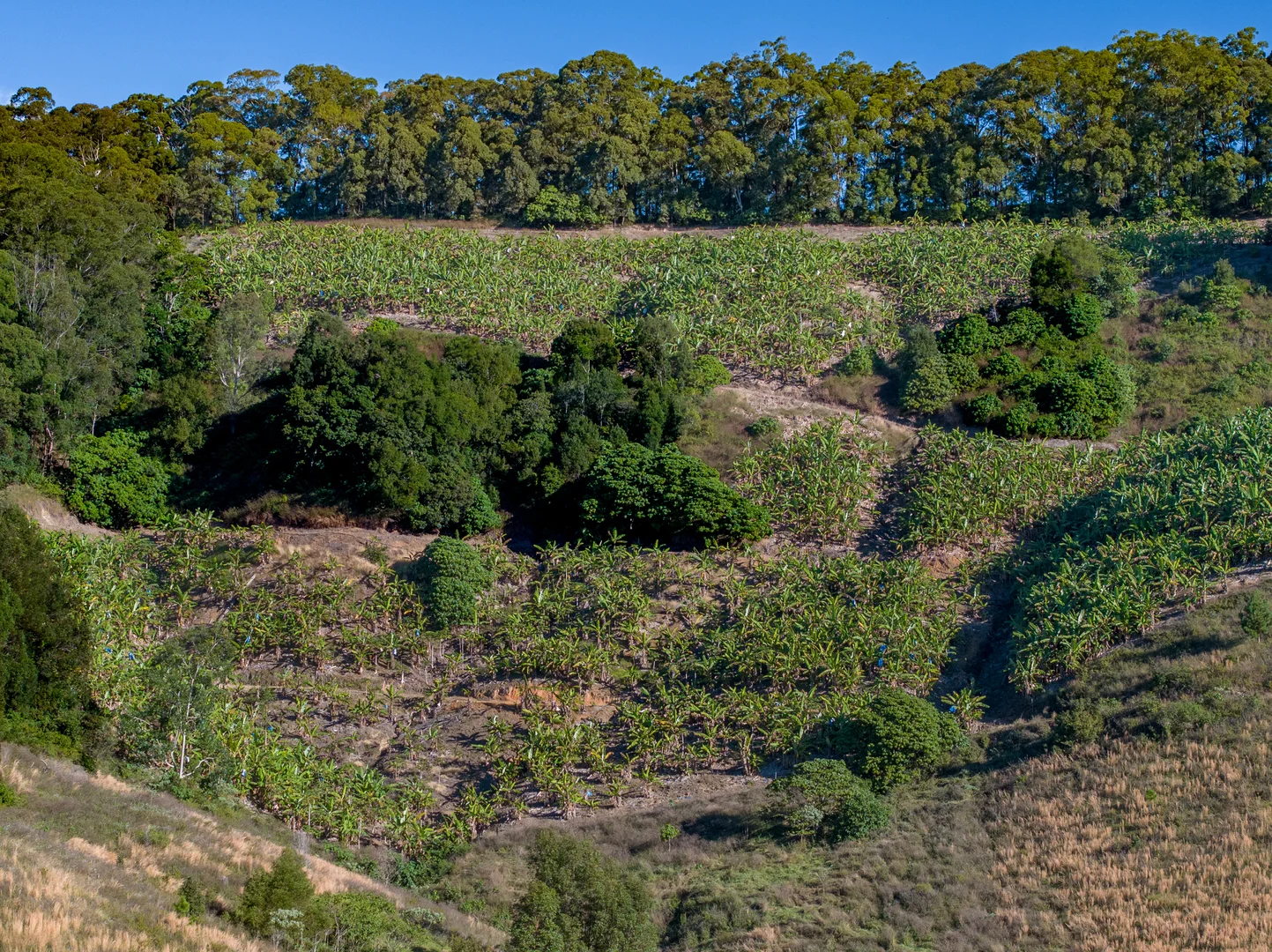 Additional image 46 of Sleepy Hollow NSW 2483