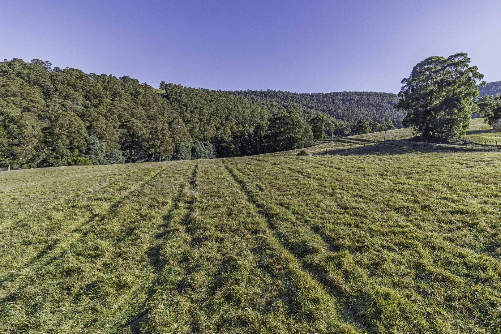 Additional image 19 of Mountain River TAS 7109