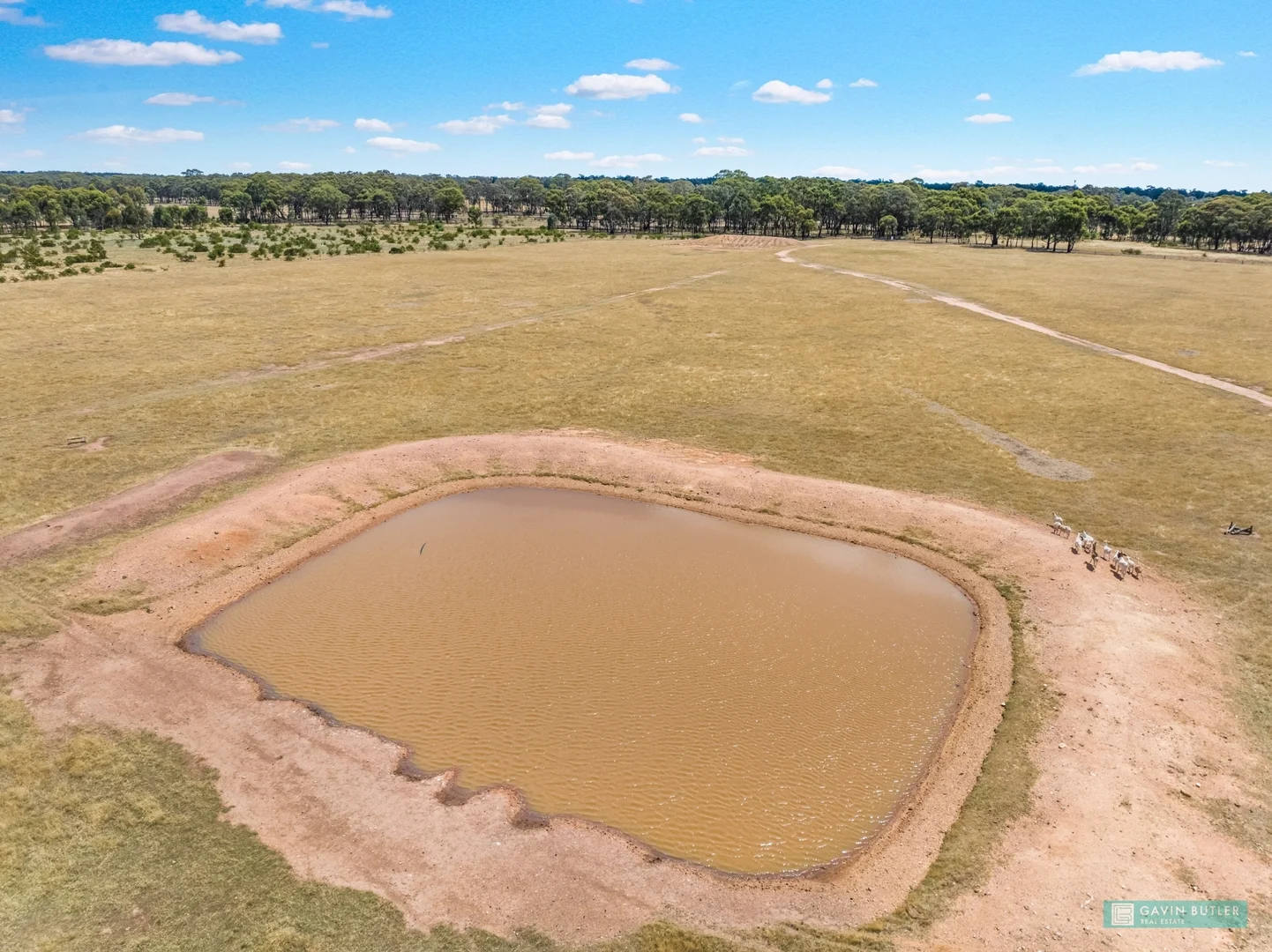 Additional image 4 of 5B Scotts Road, Neilborough VIC 3570