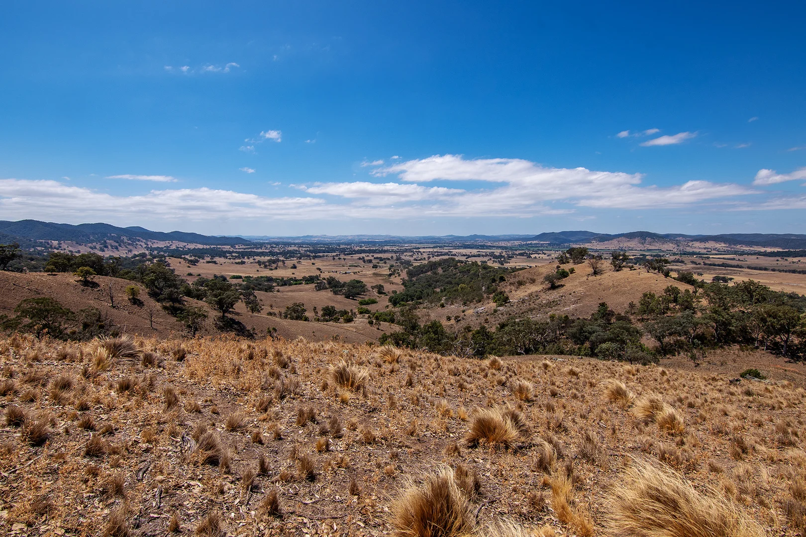 Additional image 9 of 856 Spring Flat Road, Spring Flat NSW 2850
