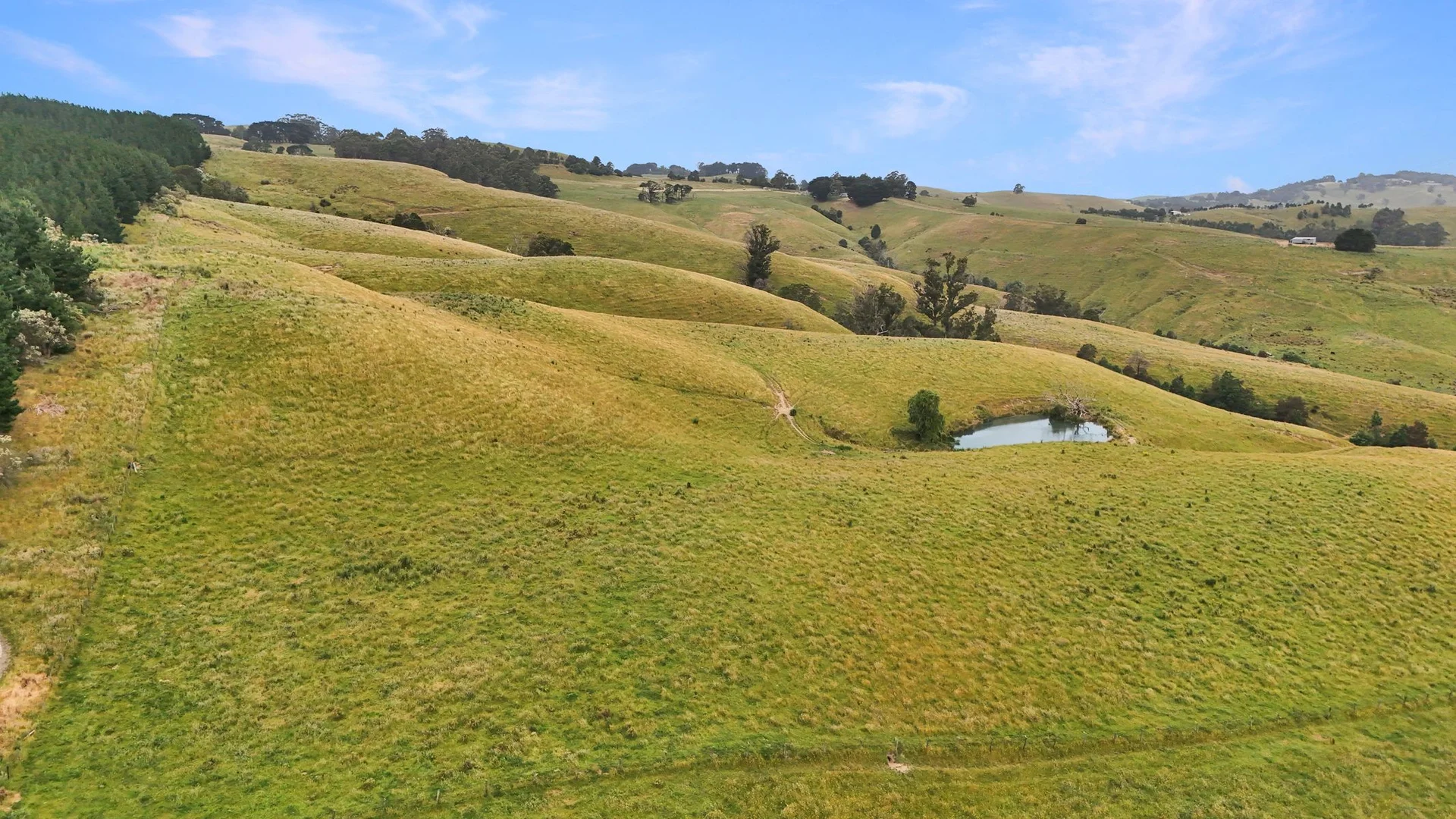 Additional image 13 of 160 Hollins Road, Trida VIC 3953