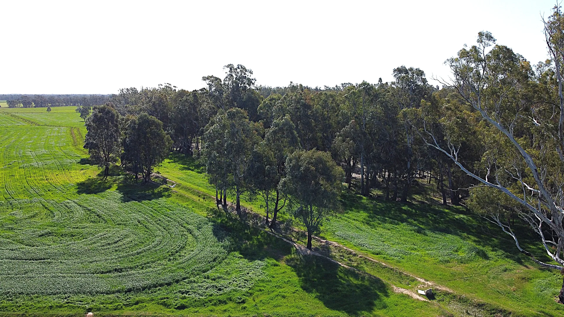 Additional image 20 of . Bangerang Road, Kanyapella VIC 3564