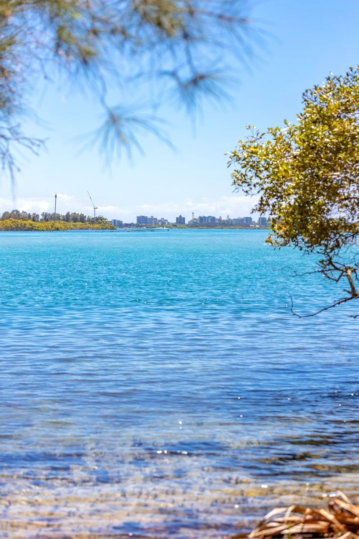Additional image 5 of LOT 5 WALLIS ISLAND MAIN TRAIL, Forster NSW 2428