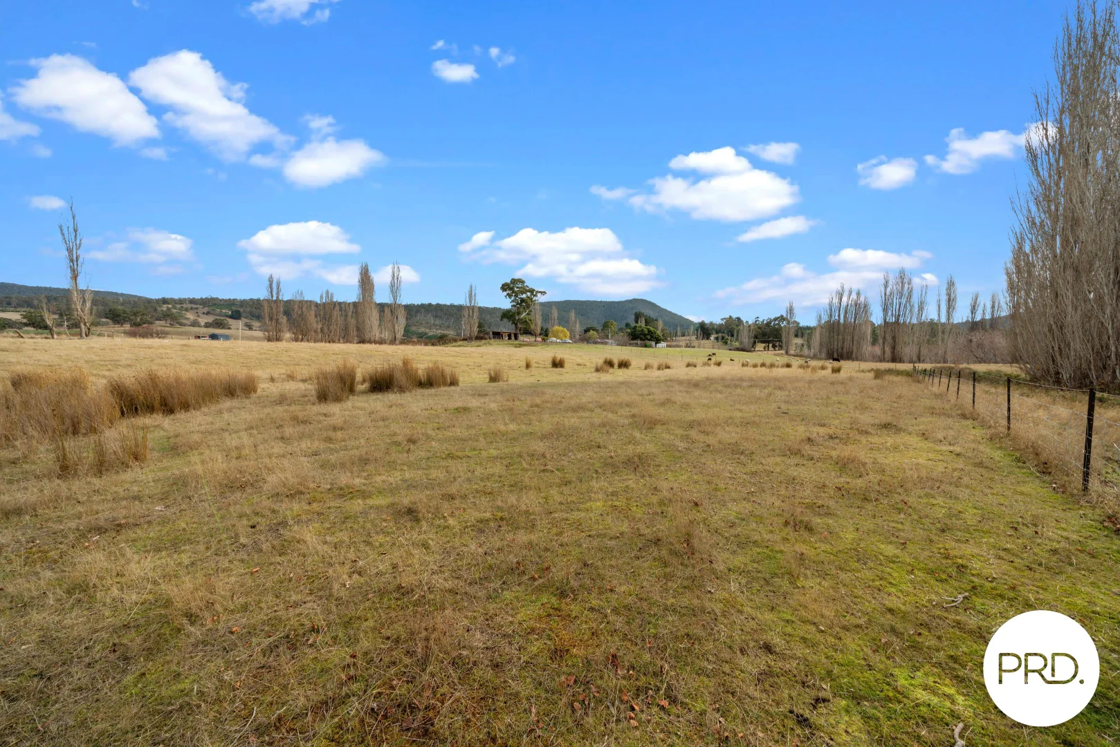 Additional image 23 of 240 Ellendale Road, Fentonbury TAS 7140