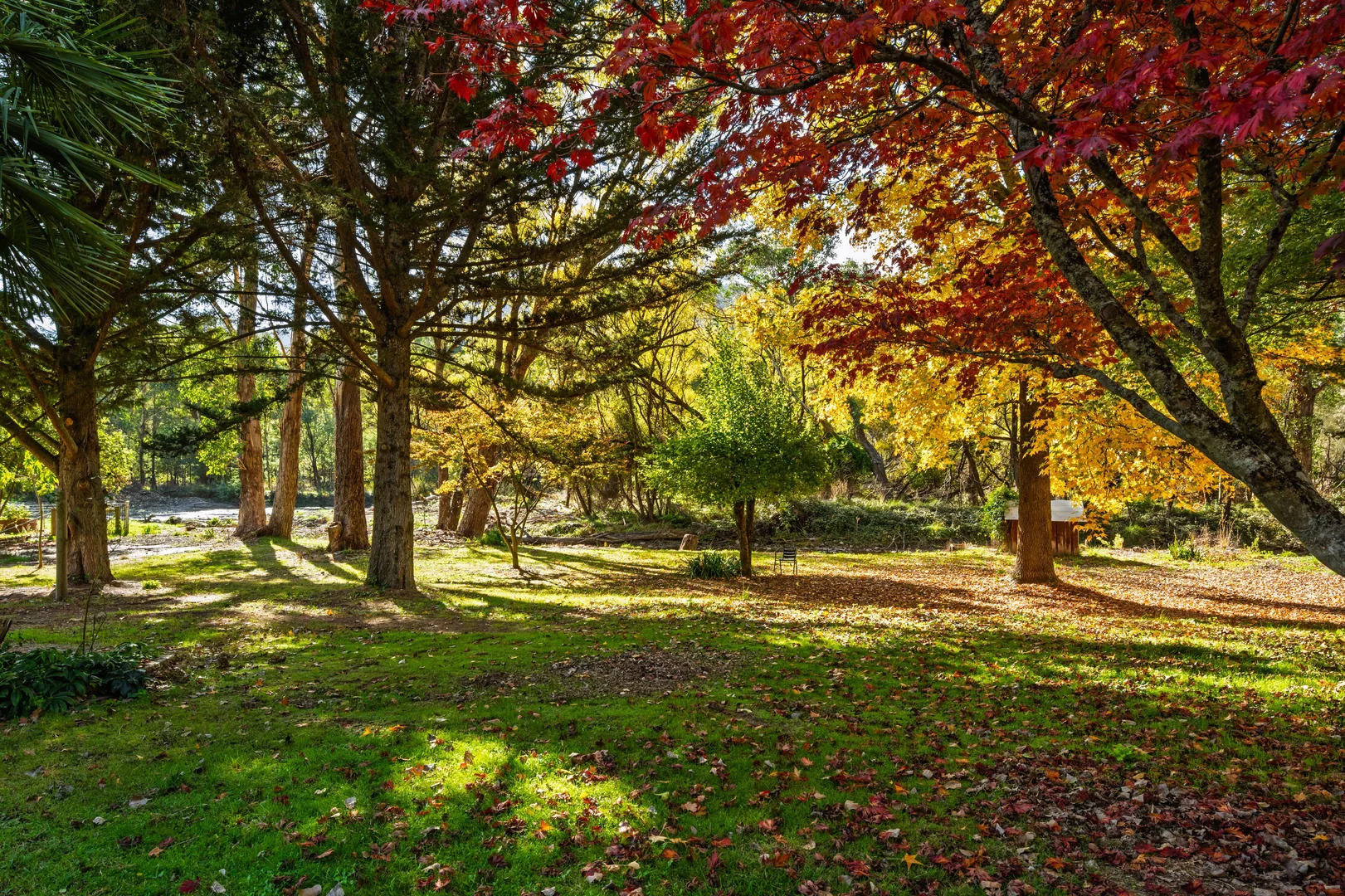 Additional image 30 of 839 Great Alpine Road, Freeburgh VIC 3741