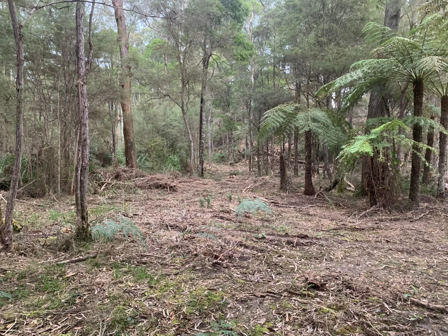 Additional image 10 of 23 Wombat Crescent, East Warburton VIC 3799