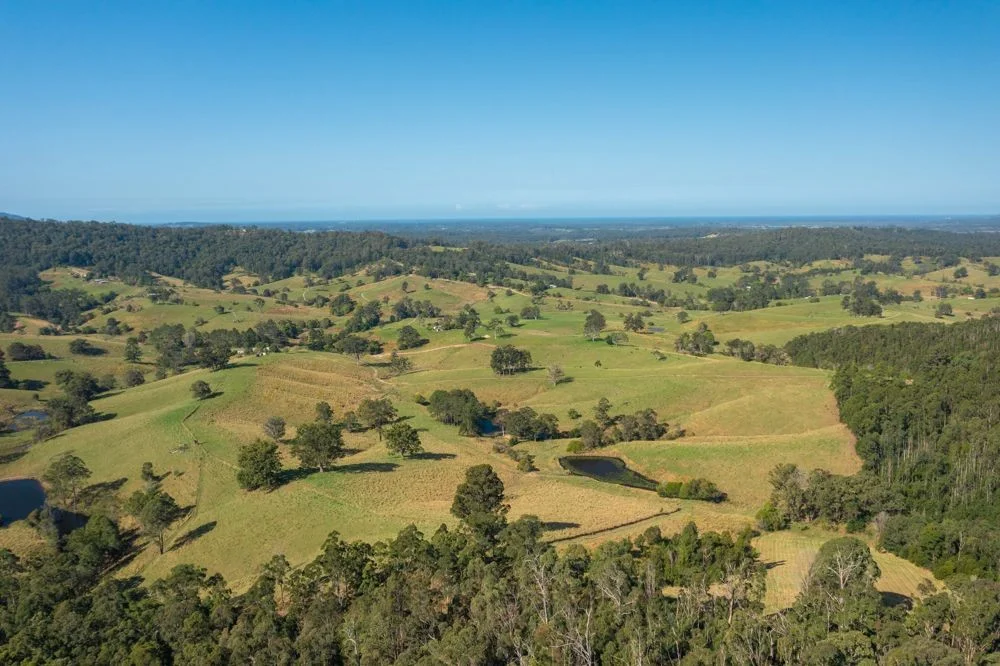 Additional image 9 of 353 Rhones Creek Road, Talarm NSW 2447