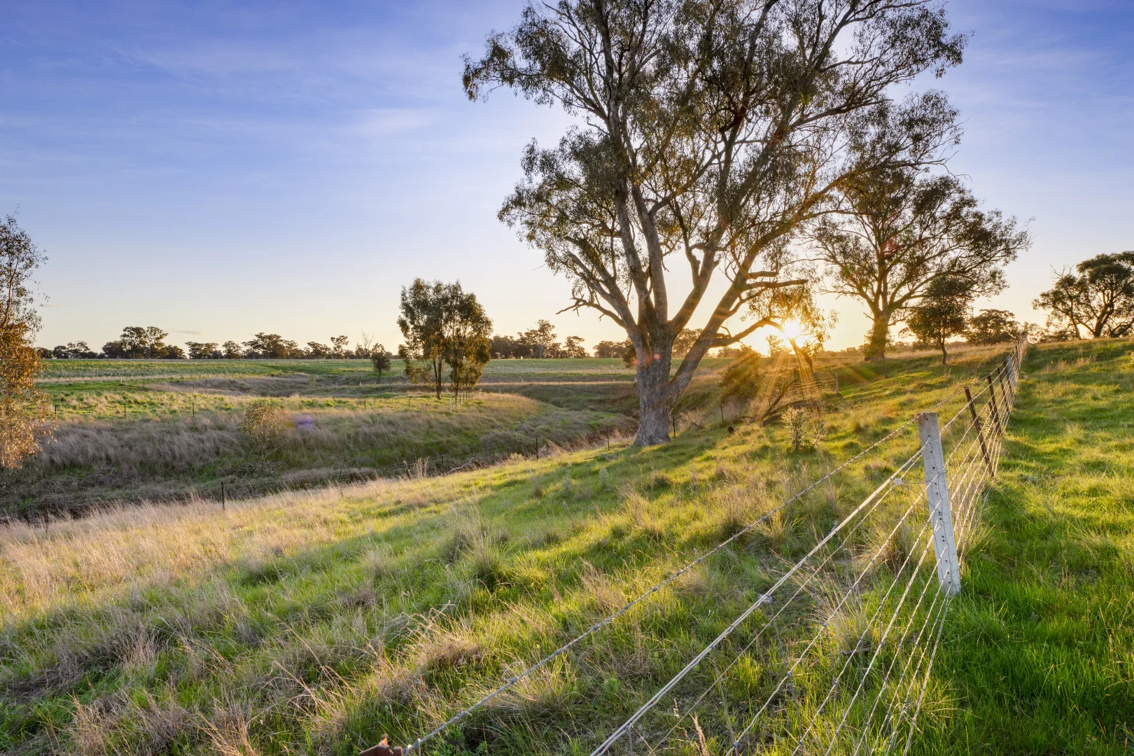 Additional image 32 of 617 Police Paddocks Rd, Carlyle VIC 3685