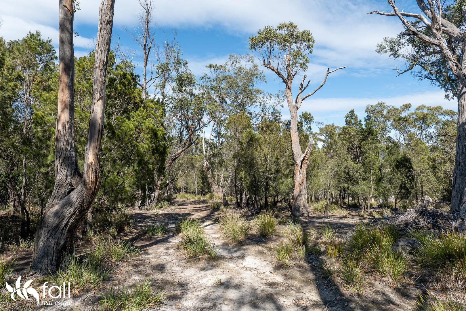 Additional image 3 of 954 Killora Road, North Bruny TAS 7150