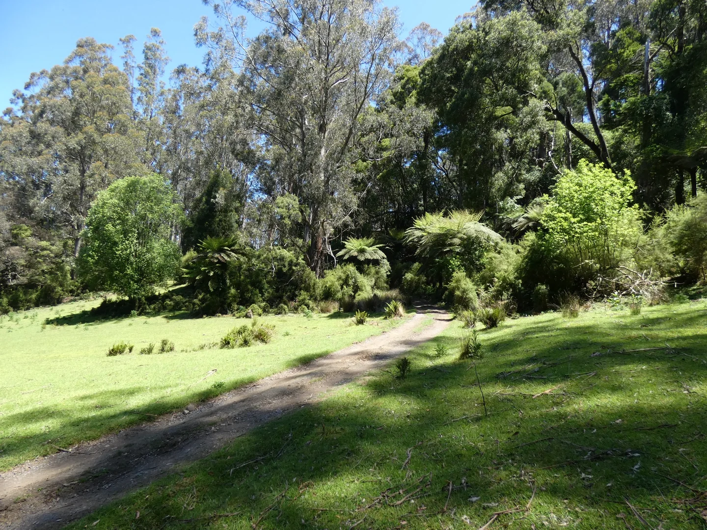 Additional image 21 of 120 Yuonga Road, Warburton VIC 3799