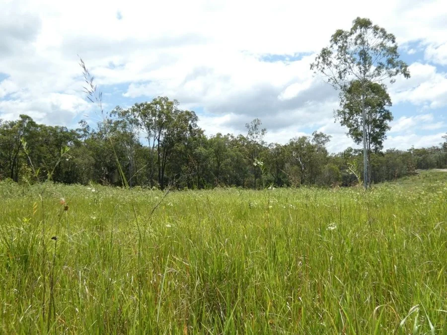 Additional image 26 of Lot 41 Moolyung Road, Waterloo QLD 4673