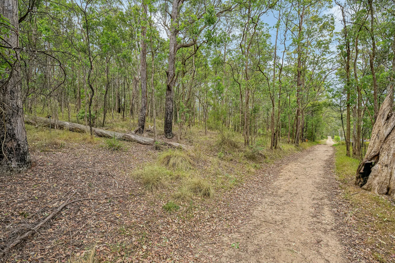 Additional image 4 of 95 Rosenthal Lane, Sun Valley NSW 2777