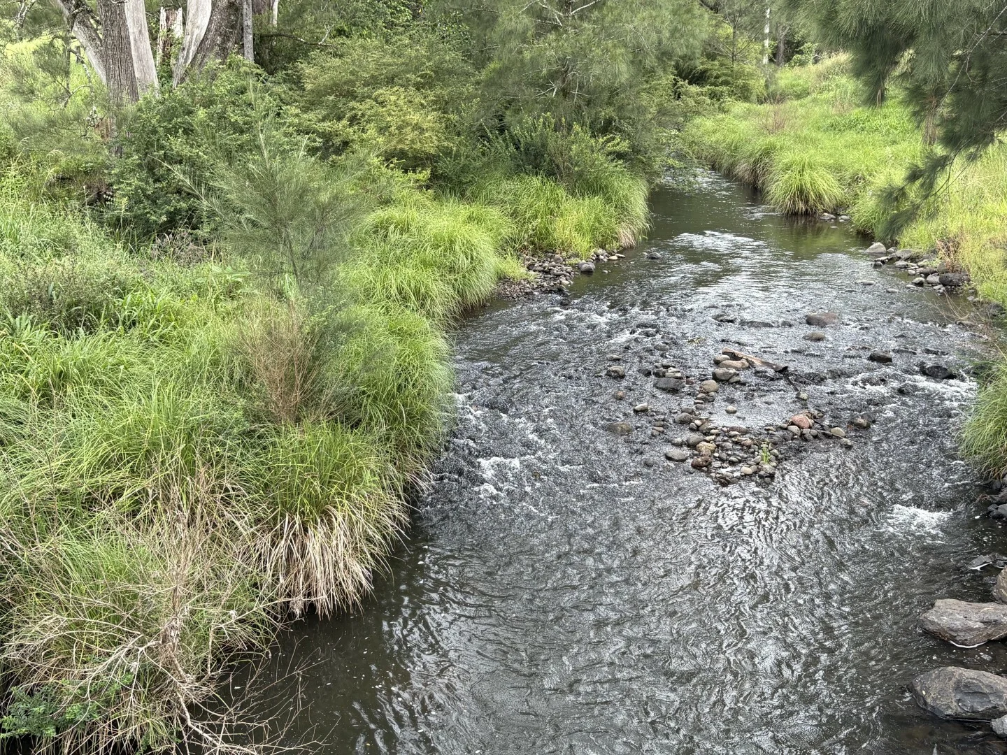 Additional image 4 of 1061 Lynches Creek Road, Kyogle NSW 2474