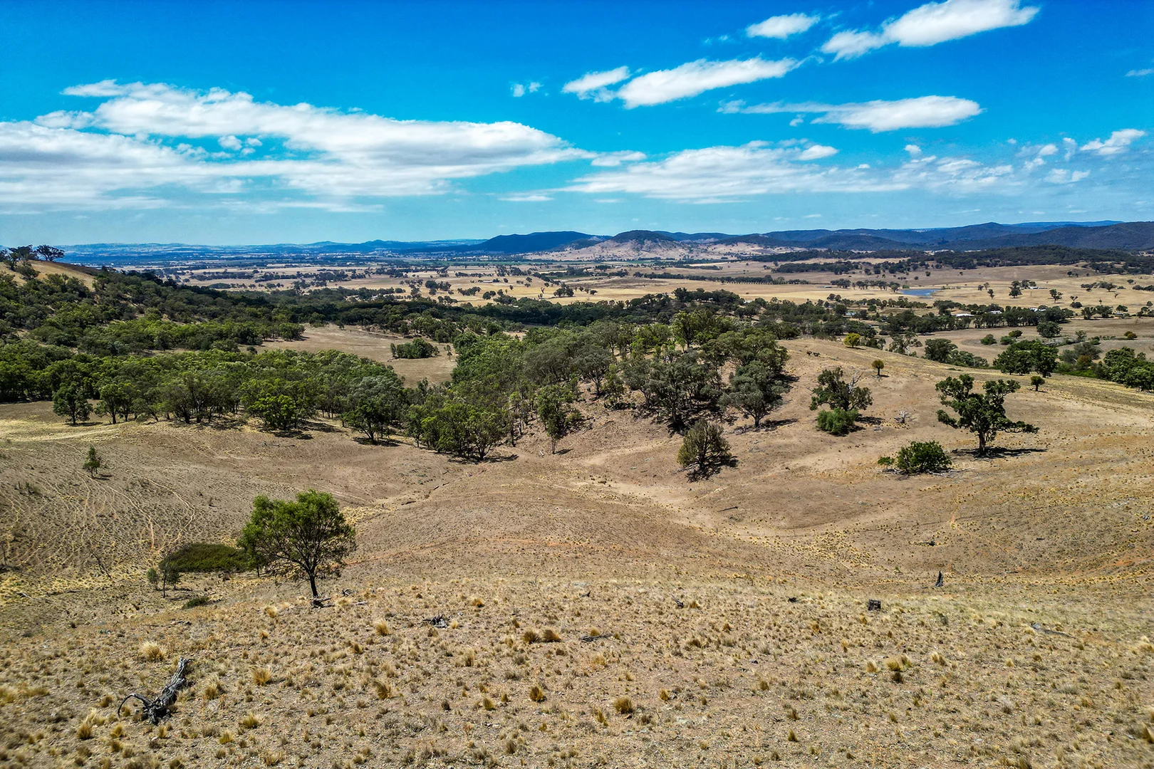 Additional image 6 of 856 Spring Flat Road, Spring Flat NSW 2850