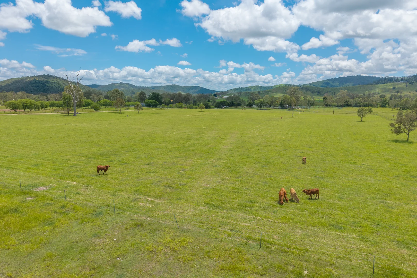 Additional image 30 of 252 Braemore Lane, Braemore QLD 4313